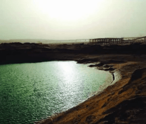 Saudi Aramco